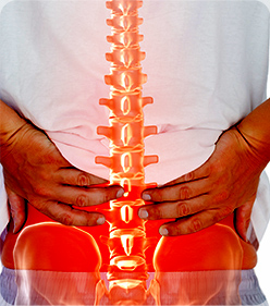 척추 · 관절 통증